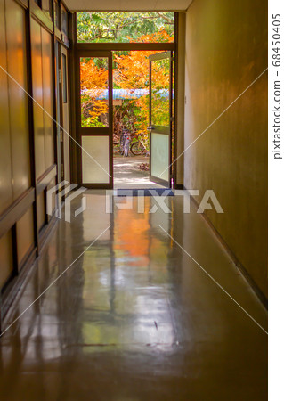 校園裡的秋葉和自行車存放處 校園裡的秋葉和自行車存放處 68450405