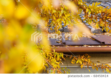 Yellow leaves and roof of autumn leaves 68450414