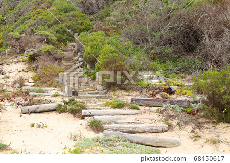 Coastal Beach Wilderness Pathway Stairs Coastal Beach Wilderness Pathway Stairs 68450617