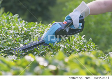 Hand with garden battery shears Hand with garden battery shears 68450641