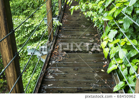 Leaves of wooden bridge wet in the rain 68450962