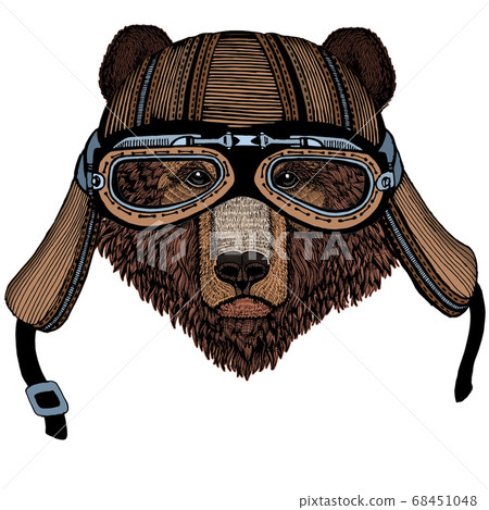 Wild bear. Portrait of animal for emblem, logo, tee shirt. Motorcycle helmet. 68451048