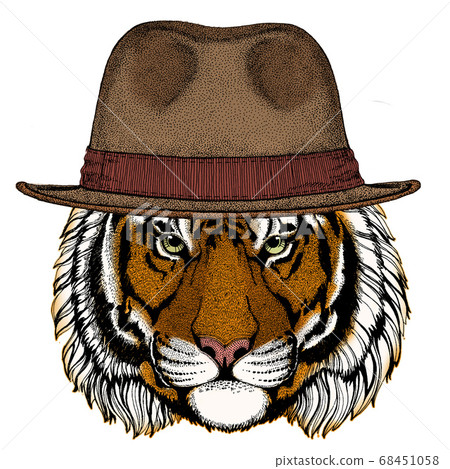 Tiger portrait. Wild cat head. Fedora classic hat. Tiger portrait. Wild cat head. Fedora classic hat. 68451058