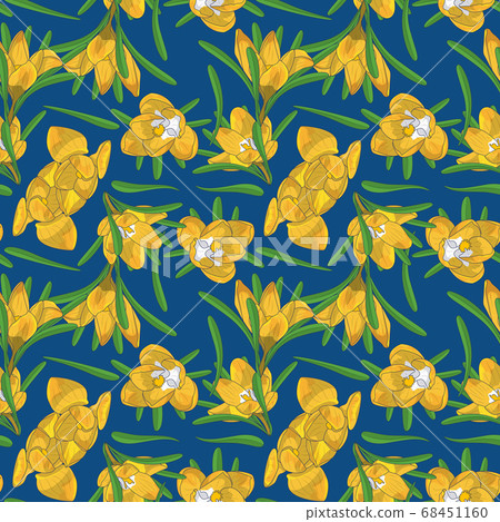 Hand drawn yellow crocus flowers seamless floral Hand drawn yellow crocus flowers seamless floral 68451160
