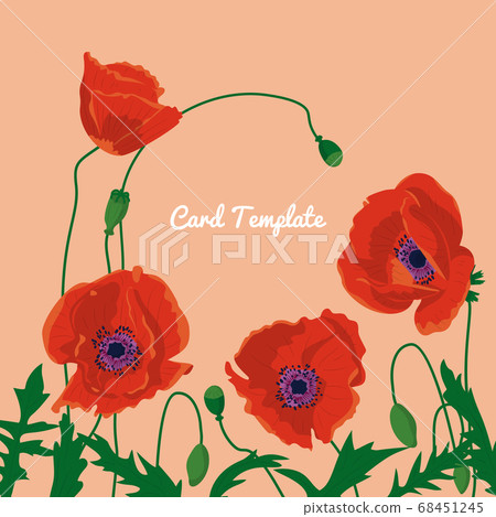 Square card template with hand drawn colorful Square card template with hand drawn colorful 68451245
