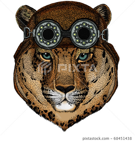 Leopard, jaguar face. Portrait of wild animal. Aviator flying leather helmet with googles. Leopard, jaguar face. Portrait of wild animal. Aviator flying leather helmet with googles. 68451438