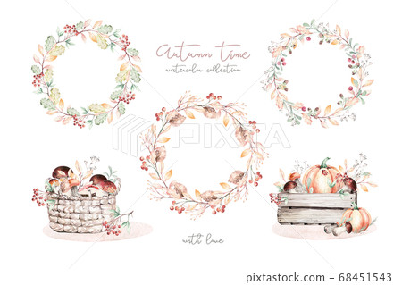Watercolor illustration with mashrooms, branches, leaves and berries. Set of autumn forest plants. Collection of herbarium garden. 68451543