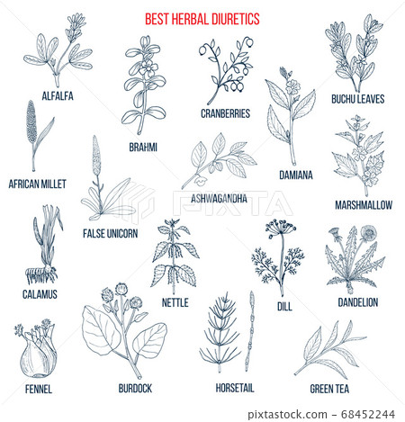 Best diuretic herbs set. 68452244