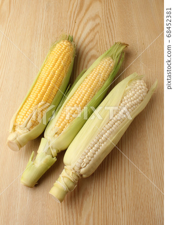 Corn Corn 68452381