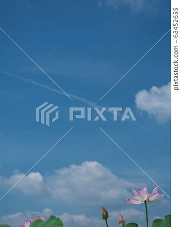 蓮花和凝結尾跡 蓮花和凝結尾跡 68452655