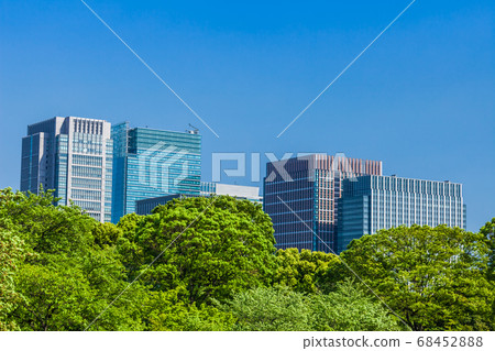 新鮮的綠樹和丸之內建築群 新鮮的綠樹和丸之內建築群 68452888