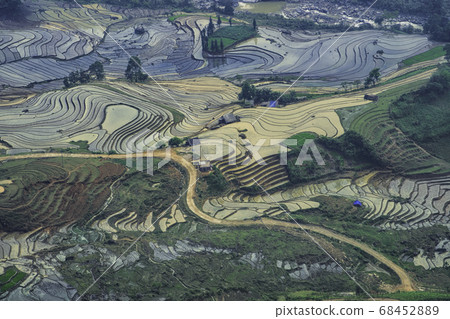 Rice field terraces. Mountain view in the clouds. 68452889