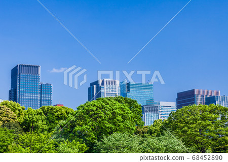新鮮的綠樹和丸之內建築群 新鮮的綠樹和丸之內建築群 68452890