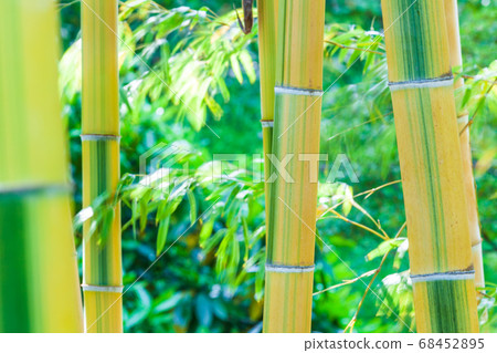Kinmei Mousouchiku Kinmei Mousouchiku 68452895