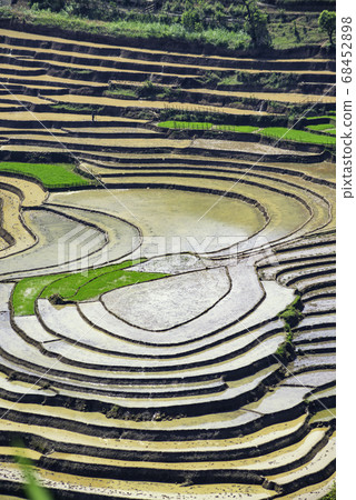 Beauty of rice terraces in Muong Hum, Lao Cai, Beauty of rice terraces in Muong Hum, Lao Cai, 68452898