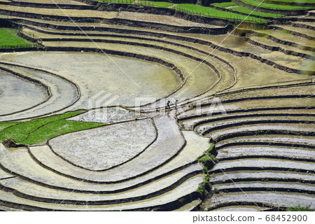 Beauty of rice terraces in Muong Hum, Lao Cai, Beauty of rice terraces in Muong Hum, Lao Cai, 68452900
