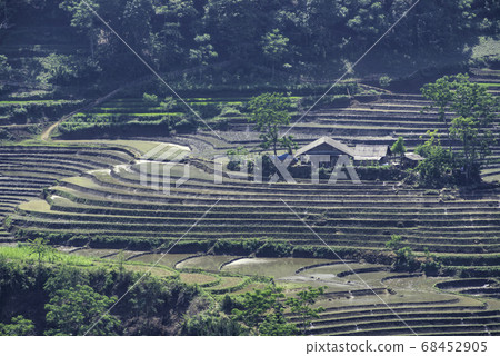 Beauty of rice terraces in Muong Hum, Lao Cai, 68452905
