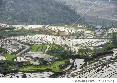 Rice field terraces. Mountain view in the clouds. Rice field terraces. Mountain view in the clouds. 68452924