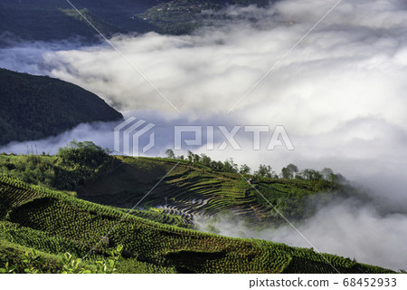 Rice field terraces. Mountain view in the clouds. Rice field terraces. Mountain view in the clouds. 68452933