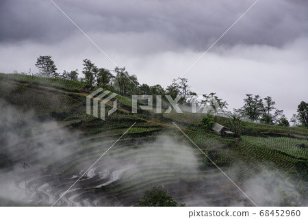 Rice field terraces. Mountain view in the clouds. Rice field terraces. Mountain view in the clouds. 68452960