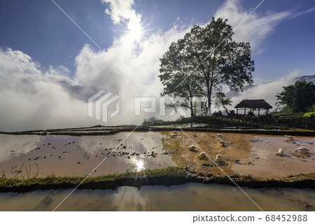 Terraced rice field landscape with road and big 68452988