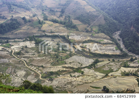 Beautiful terraced rice field in water pulling Beautiful terraced rice field in water pulling 68452999