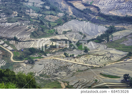 Beautiful terraced rice field in water pulling Beautiful terraced rice field in water pulling 68453026