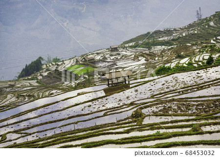 Rice field terraces. Mountain view in the clouds. Rice field terraces. Mountain view in the clouds. 68453032