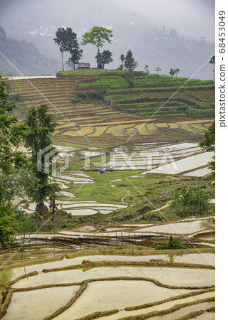 Rice field terraces. Mountain view in the clouds. 68453049