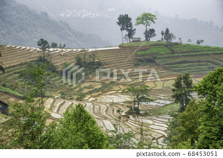 Rice field terraces. Mountain view in the clouds. Rice field terraces. Mountain view in the clouds. 68453051