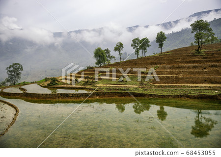 Rice field terraces. Mountain view in the clouds. 68453055