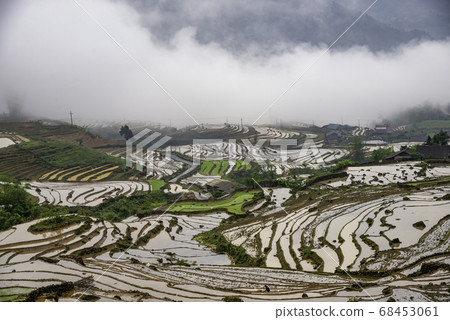 Rice field terraces. Mountain view in the clouds. Rice field terraces. Mountain view in the clouds. 68453061
