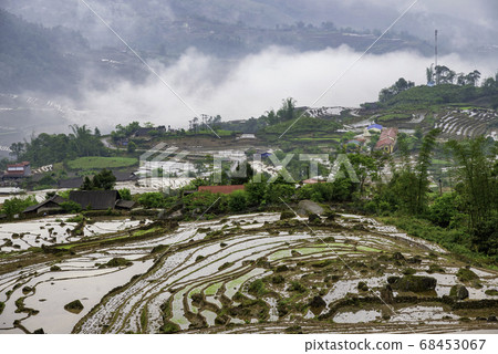 Rice field terraces. Mountain view in the clouds. Rice field terraces. Mountain view in the clouds. 68453067