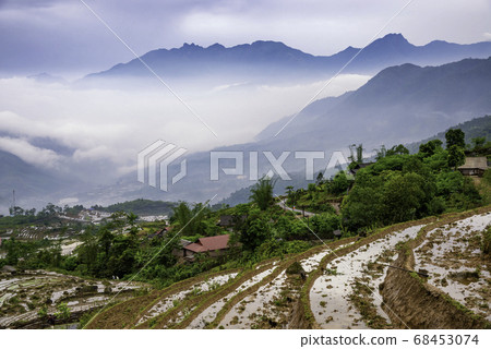 Rice field terraces. Mountain view in the clouds. 68453074