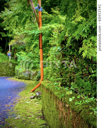 鄉村小路 68453541