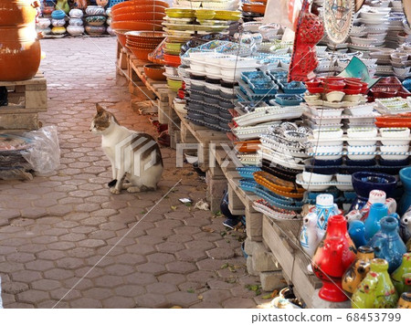 Cat doing shopkeeper at Fumsouk Cat doing shopkeeper at Fumsouk 68453799