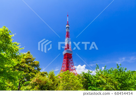 Fresh green trees and Tokyo Tower 68454454