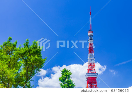 Fresh green trees and Tokyo Tower 68456055