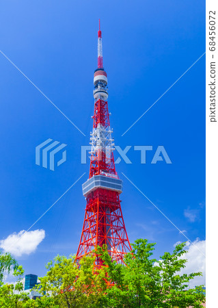 新鮮的綠樹和東京鐵塔 新鮮的綠樹和東京鐵塔 68456072