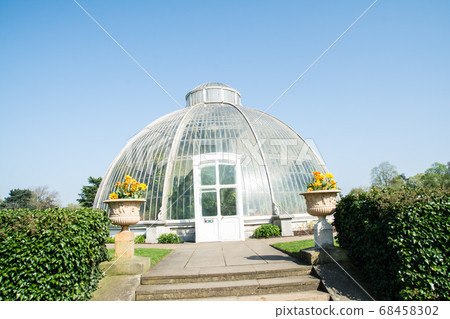 在倫敦郊區的邱園，在晴朗的天空下的圓頂形溫室 68458302