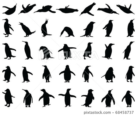 Black silhouettes of penguins on a white background Black silhouettes of penguins on a white background 68458737
