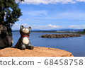 Fukui sea and cat 68458758