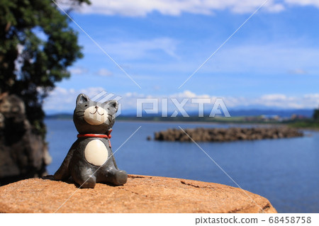 Fukui sea and cat Fukui sea and cat 68458758