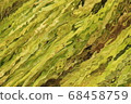 Undulating green 68458759