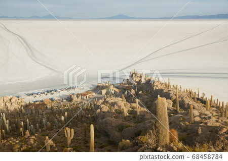 Captus and the Uyuni salar desert. South of Bolivia. 68458784