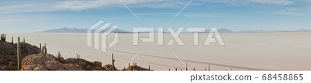 Pano of sun rise shot of captus and the Uyuni salar desert. South of Bolivia. 68458865
