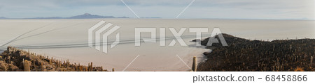 Pano of sun rise shot of captus and the Uyuni salar desert. South of Bolivia. 68458866