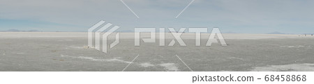 Pano of sun rise shot of captus and the Uyuni salar desert. South of Bolivia. 68458868