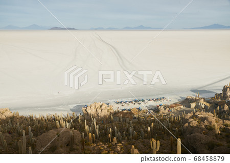 Captus and the Uyuni salar desert. South of Bolivia. 68458879