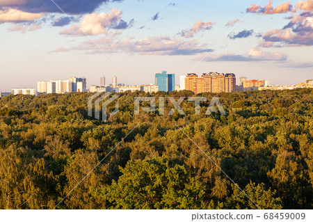 green forest and city on horizon in summer evening green forest and city on horizon in summer evening 68459009
